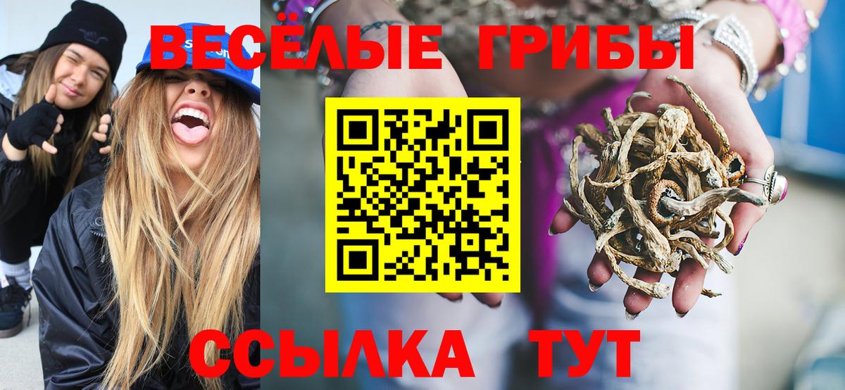 Псилоцибиновые грибы ЛСД Сорочинск