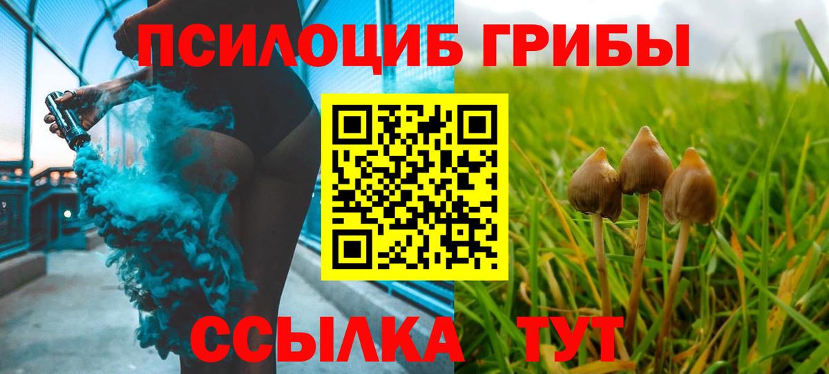 Галлюциногенные грибы Psilocybe  Вход с VPN  Сорочинск 